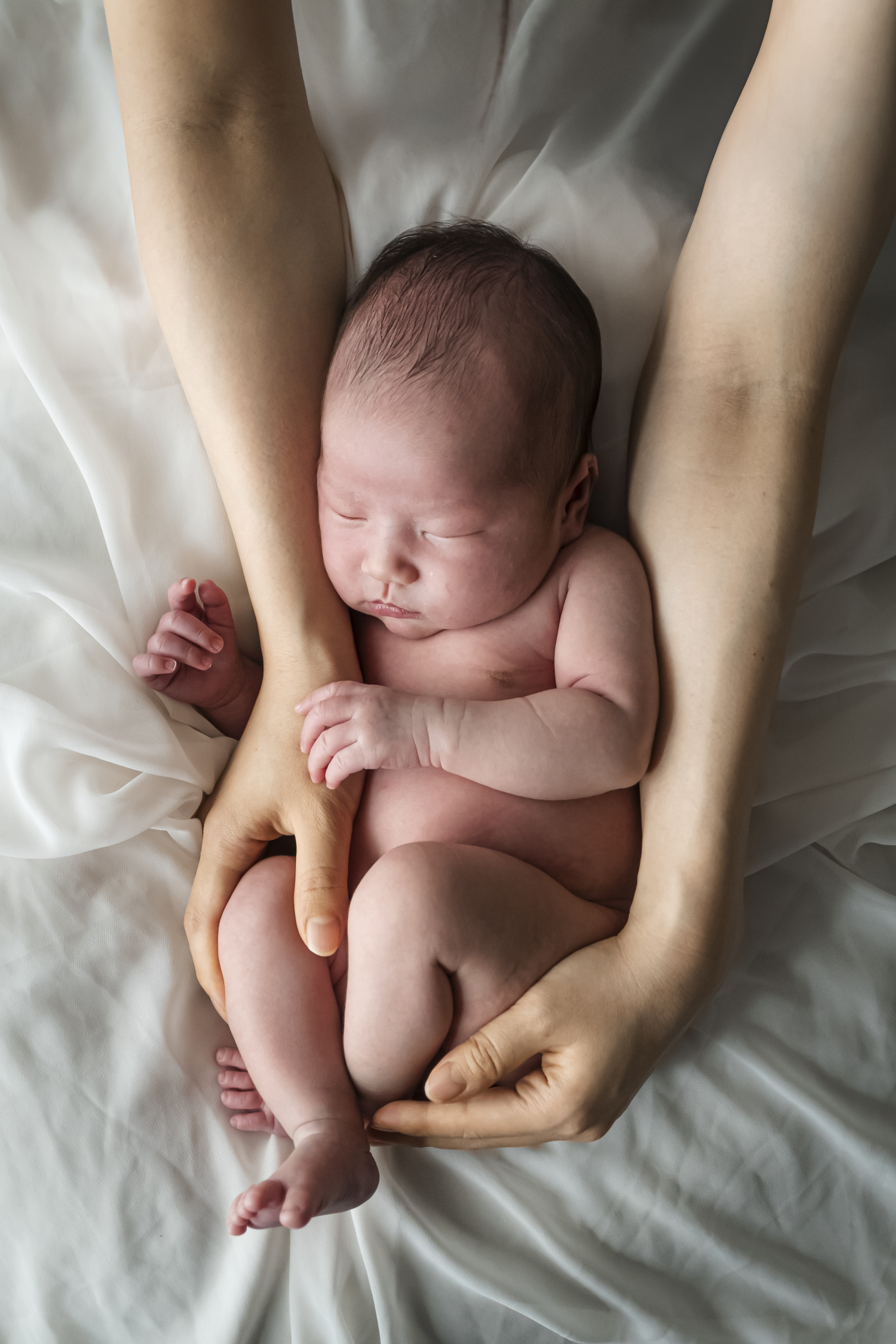 両親の腕に包まれる新生児、頭から足先まで